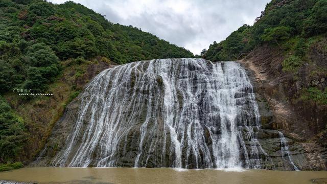【政务新声】我区在全市率先落地电子证照 “码上办”应用场景